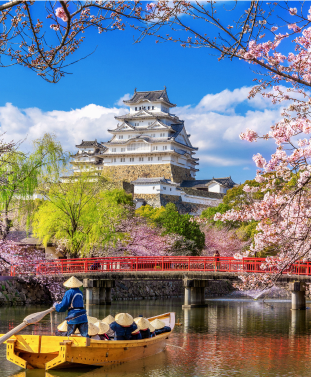 Aktifitas dan Fasilitas Osaka